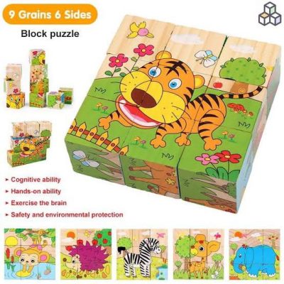 6 side painting wooden puzzle