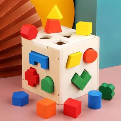 Fifteen whole Shape Intelligence Box